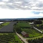 Naturnahes Mit Sonniger Terrasse, Nahe Bodensee & Messe *
