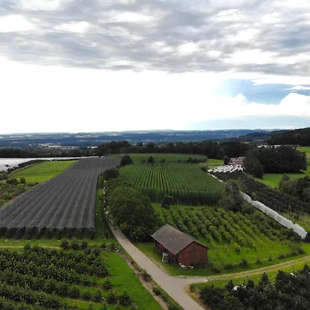 Naturnahes Mit Sonniger Terrasse, Nahe Bodensee & Messe *
