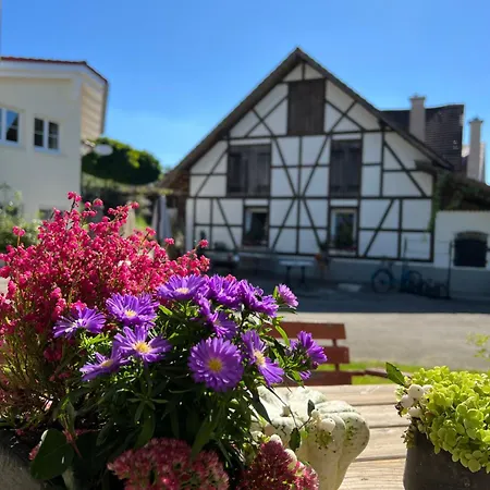 Cafe Canape, Wohlfuehlen Im Schoenen Hof Zwischen & Bodensee *