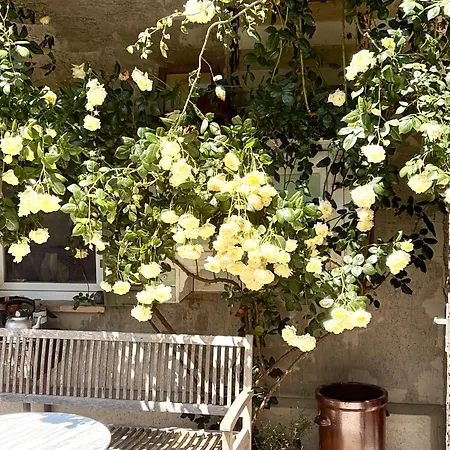 아파트 Naturnahes Mit Sonniger Terrasse, Nahe Bodensee & Messe *